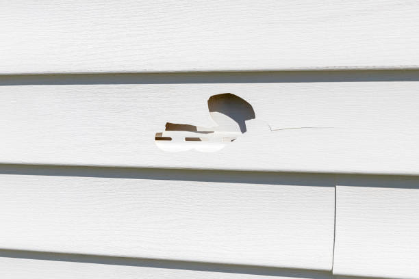 Professional Siding in Fairview Shores, FL